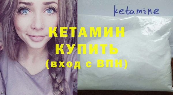 шишки Верея