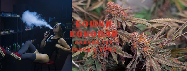 PSILOCYBIN Медвежьегорск