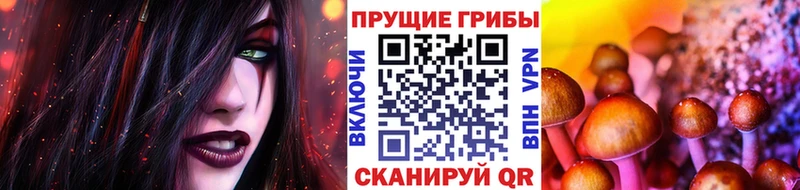 Псилоцибиновые грибы мухоморы  ссылка на мегу как зайти  Прохладный 
