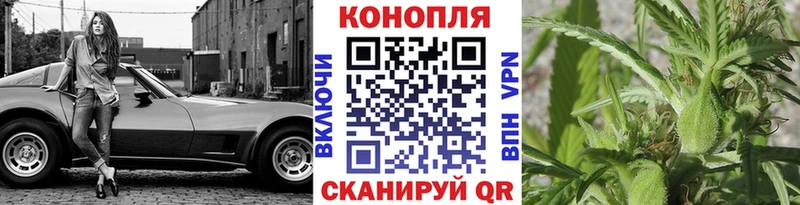 магазин    Прохладный  Каннабис планчик 